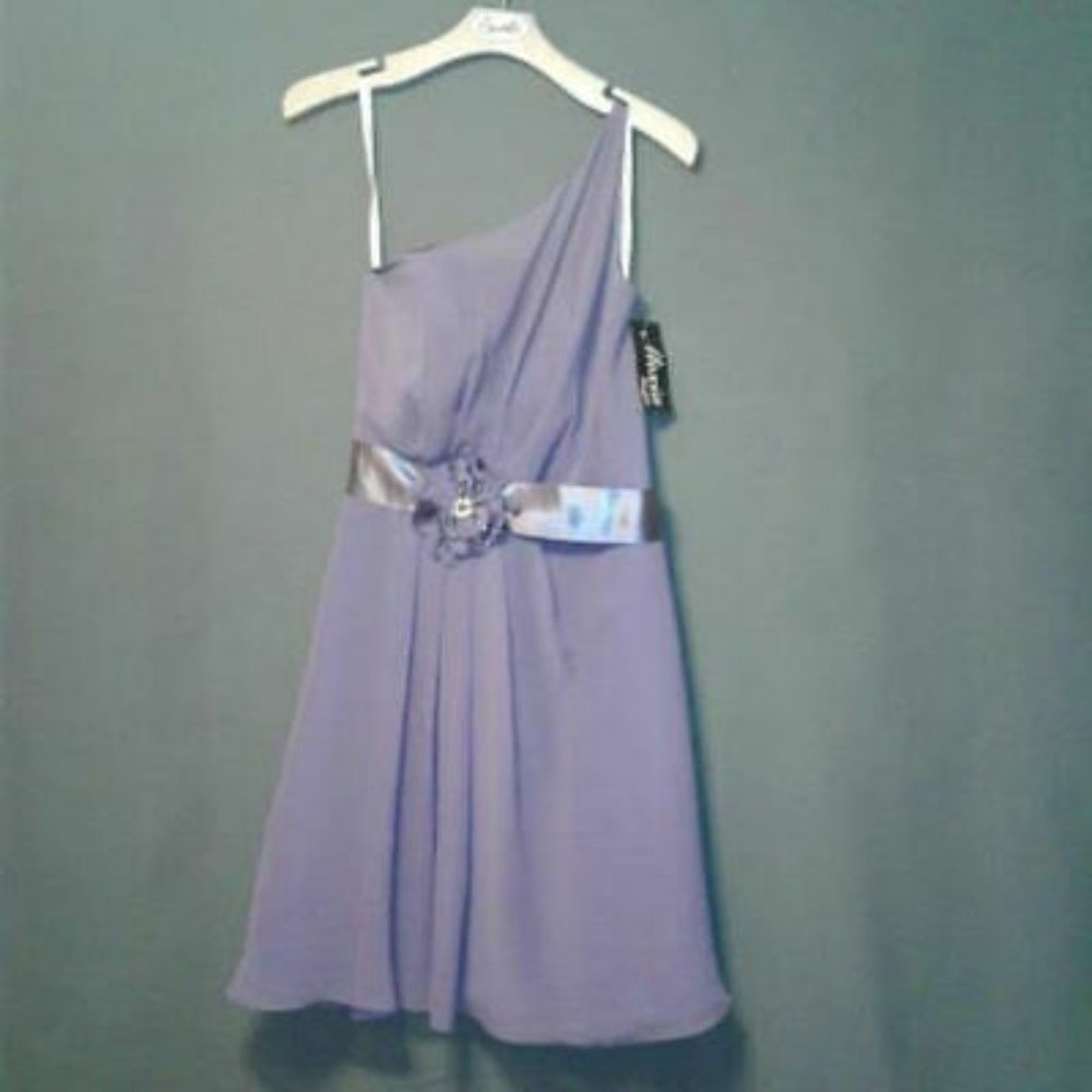 Alexia Designs Dress Plum Size: 10 Sample OBO